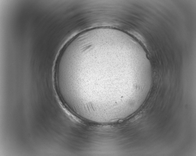 X0000074341135200609230111