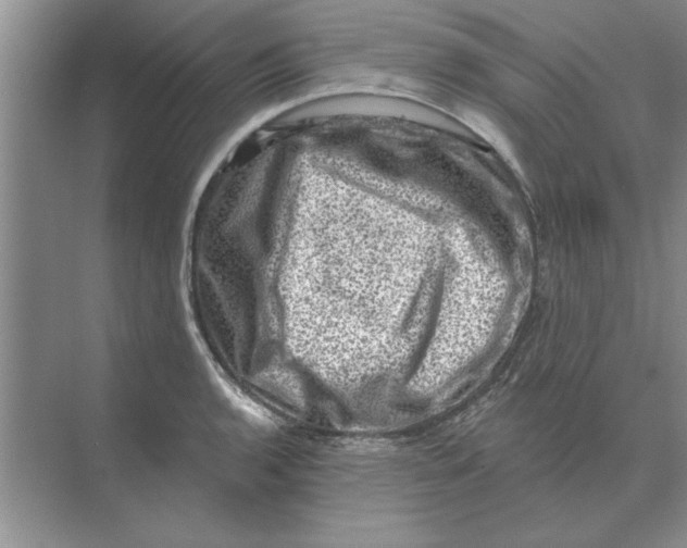 X0000074341136200609230111