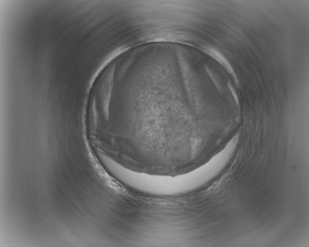 X0000074341138200609230111