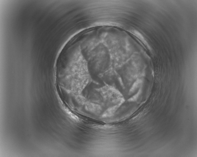 X0000074341140200609230111