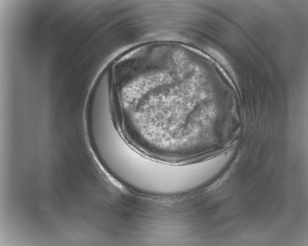 X0000074341141200609230111