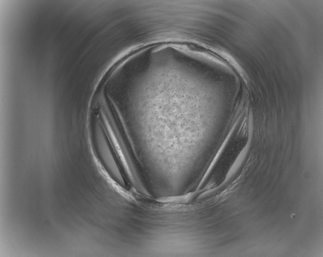 X0000074341142200609230111