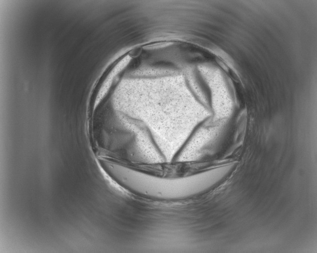 X0000074341143200609230111