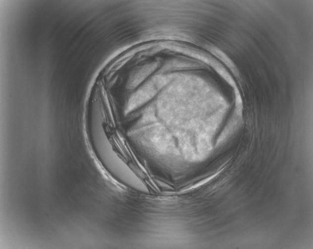 X0000074341144200609230111