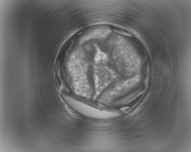 X0000074341145200609230111