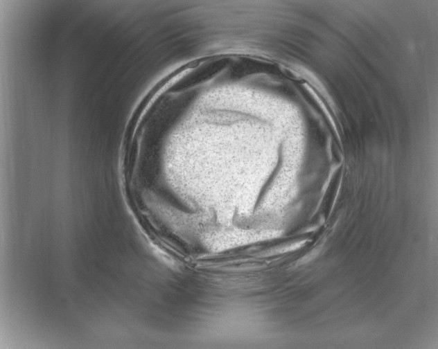 X0000074341149200609230111