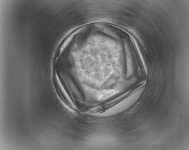 X0000074341151200609230111