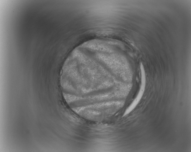 X0000074341153200609230111