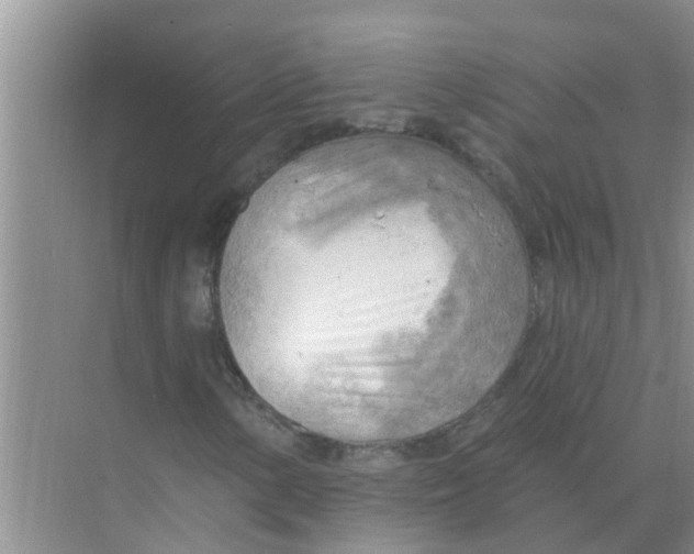 X0000074341154200609230111