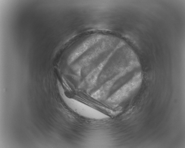 X0000074341159200609230111