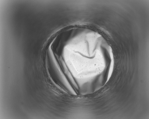 X0000074341160200609230111