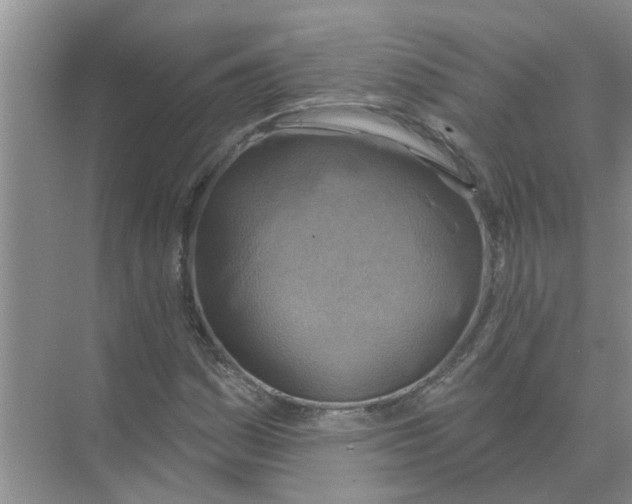 X0000074341161200609230110