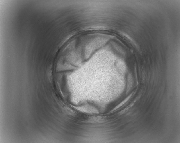 X0000074341162200609230110