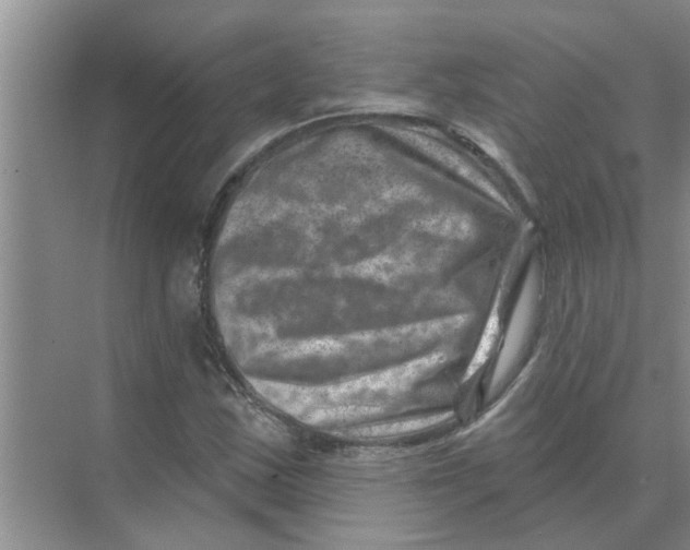 X0000074341163200609230110