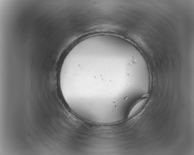 X0000074341164200609230110