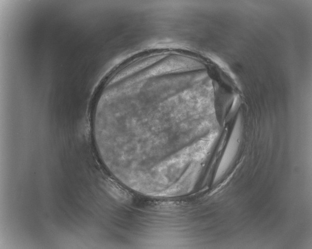 X0000074341167200609230110