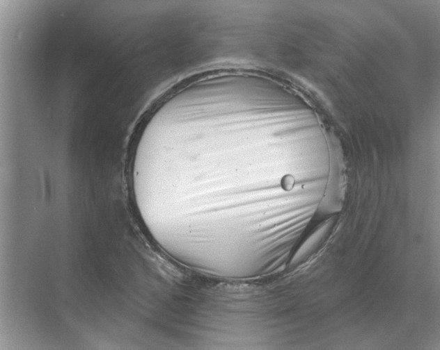 X0000074341168200609230110