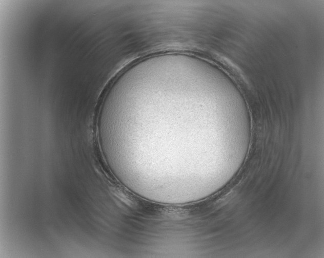 X0000074341170200609230110