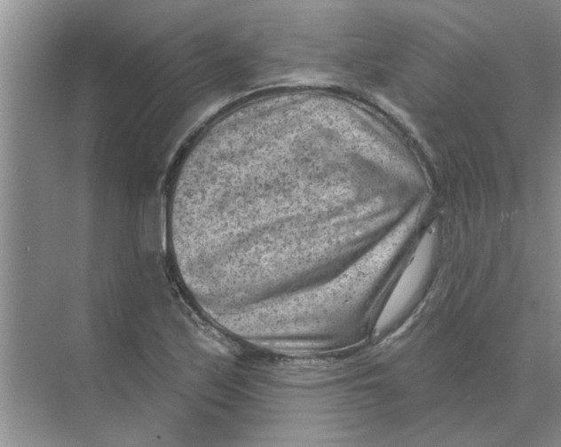 X0000074341171200609230110