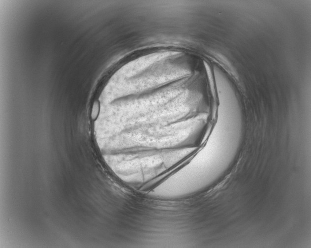 X0000074341172200609230110