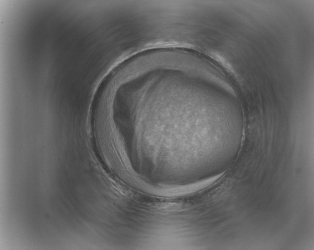 X0000074341173200609230110