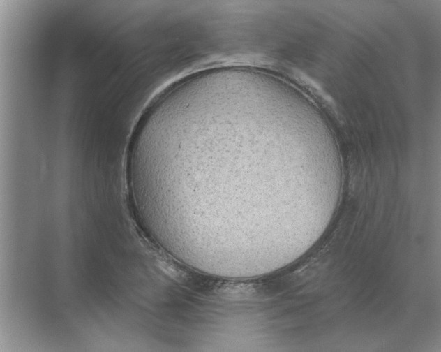 X0000074341174200609230110