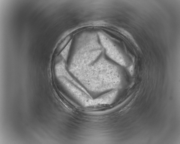 X0000074341176200609230110