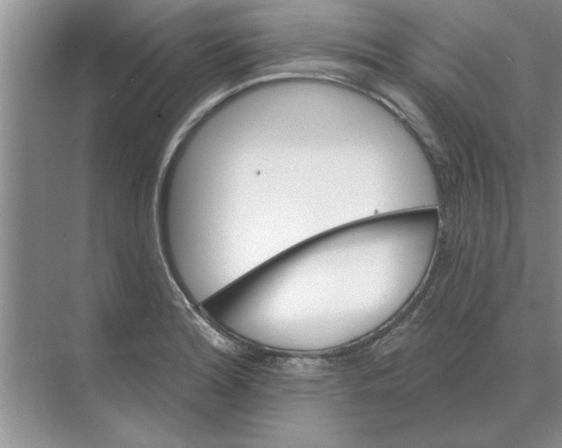 X0000074341180200609230110