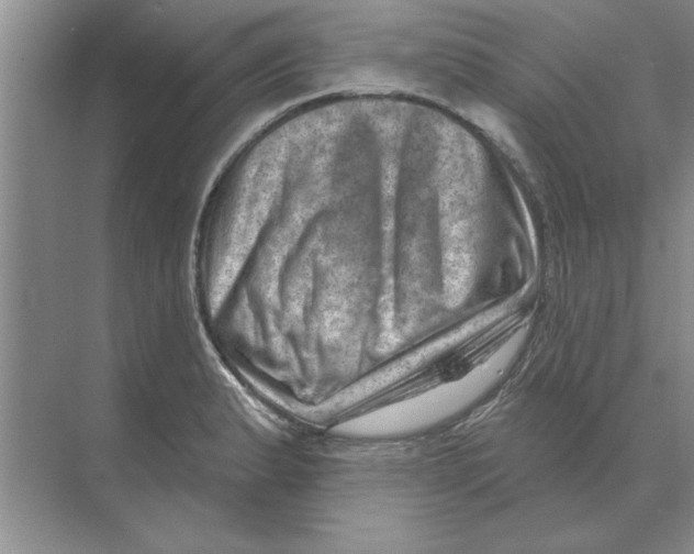 X0000074341183200609230110