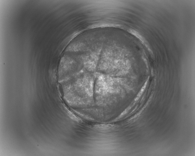 X0000074341185200609230110