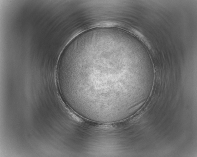 X0000074341186200609230110