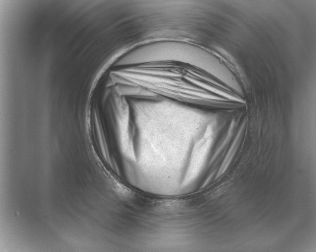 X0000074341188200609230110