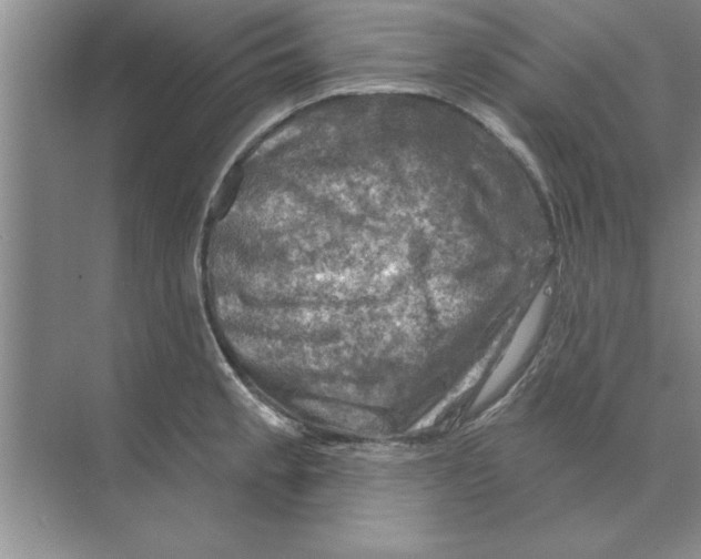 X0000074341189200609230110