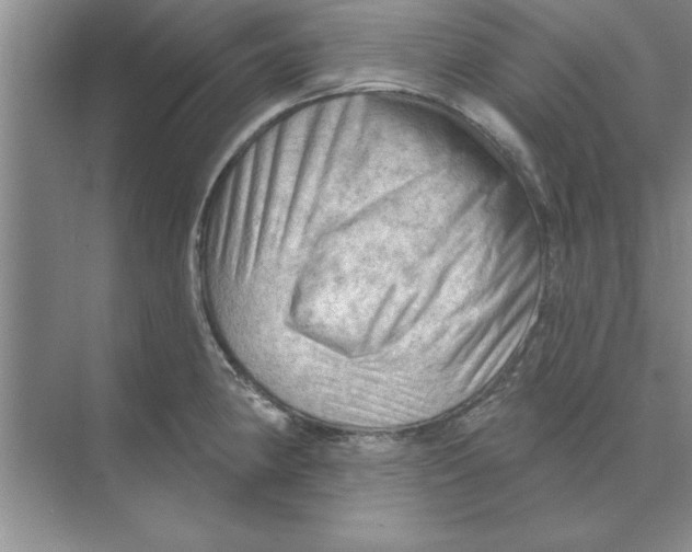 X0000074341190200609230110