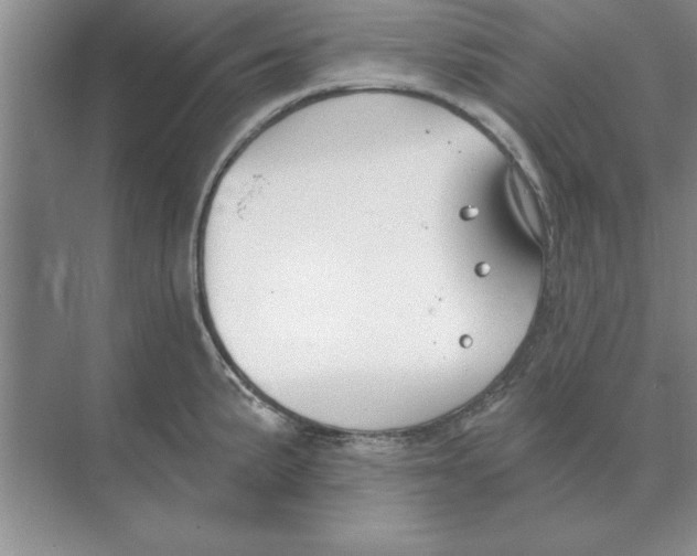 X0000074341191200609230110