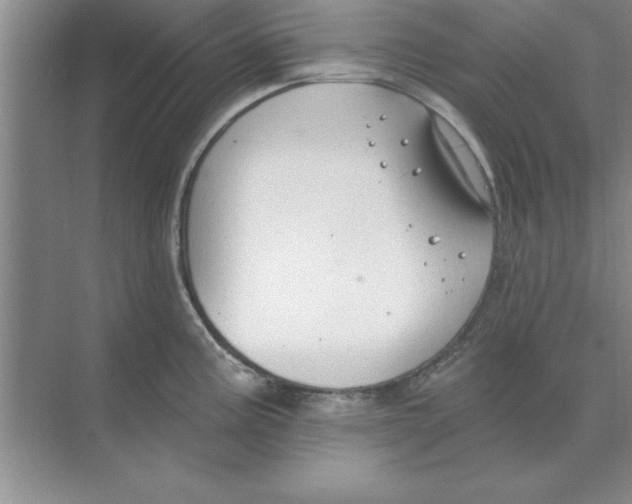 X0000074341195200609230110