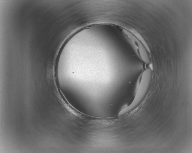 X0000074341197200609230110