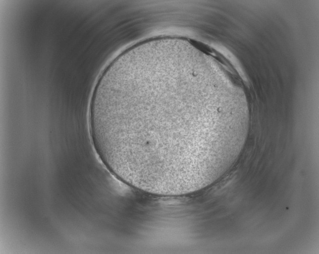 X0000074341199200609230110