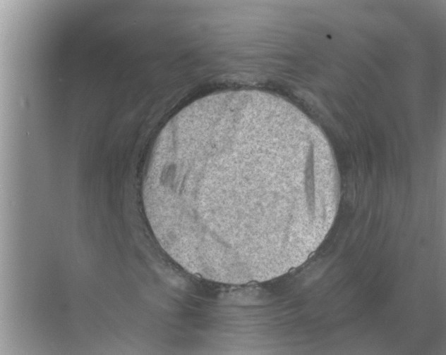 X0000074341201200609230109