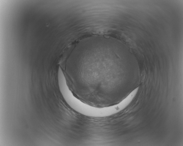 X0000074341202200609230109