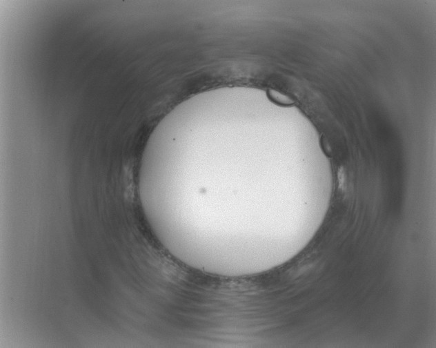 X0000074341203200609230109