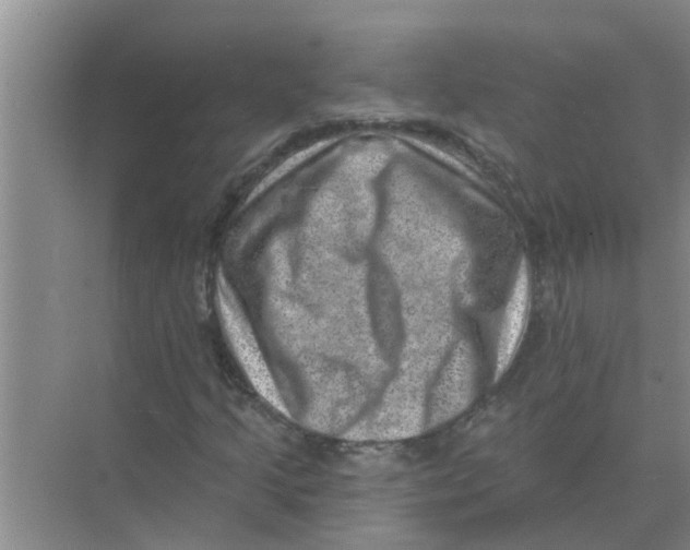 X0000074341205200609230109