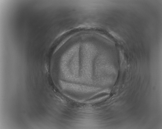 X0000074341206200609230109