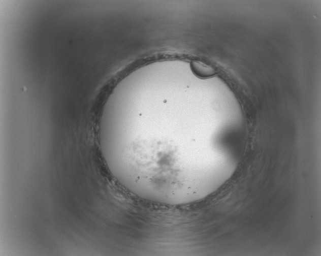 X0000074341207200609230109