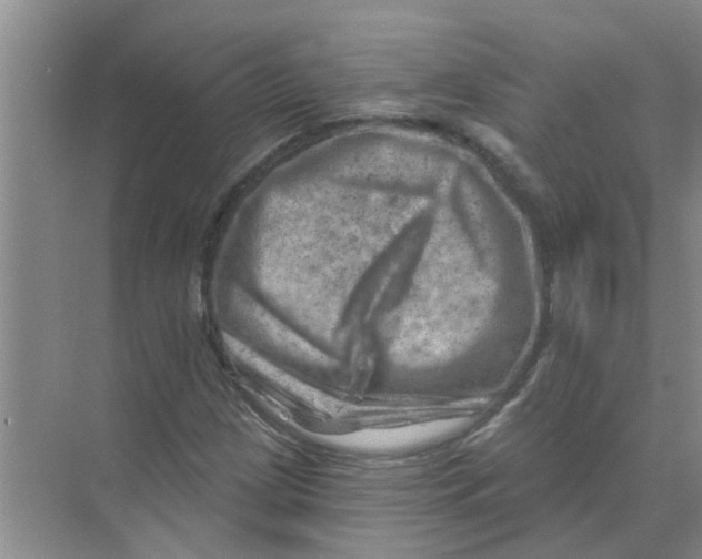 X0000074341209200609230109