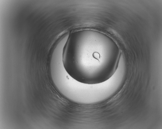 X0000074341210200609230109