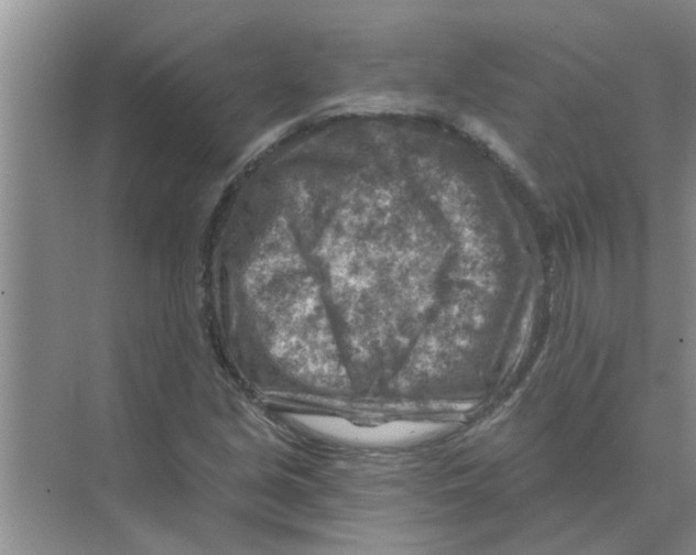 X0000074341213200609230109