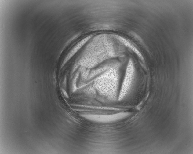 X0000074341218200609230109