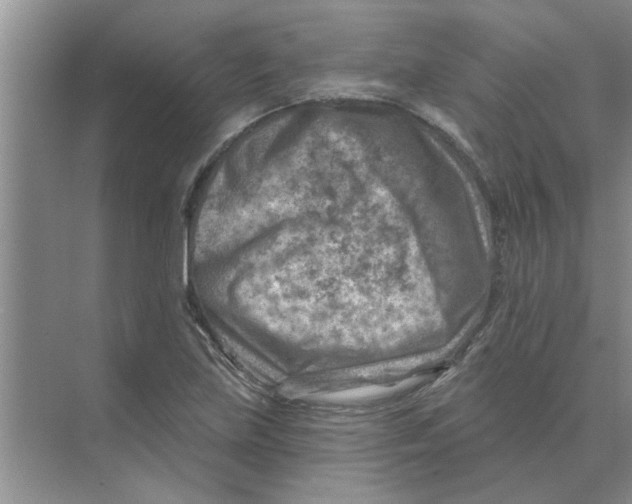 X0000074341219200609230109