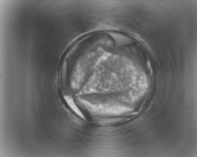 X0000074341220200609230109